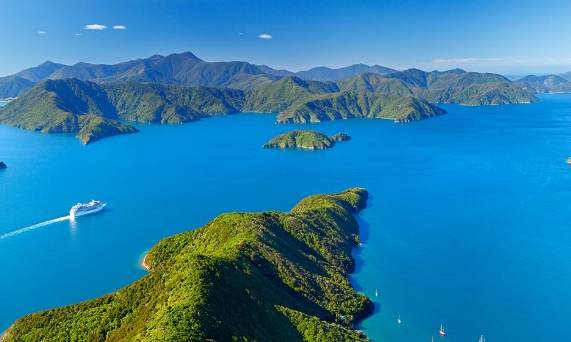 紐西蘭入境鞋子申報