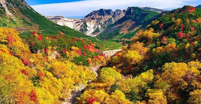 北海道紅葉見頃時間