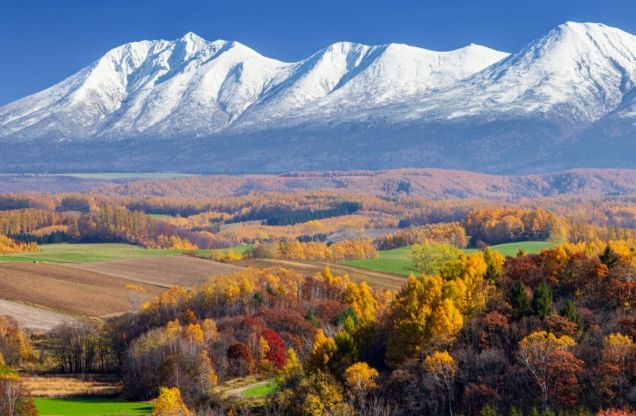 北海道紅葉見頃時間