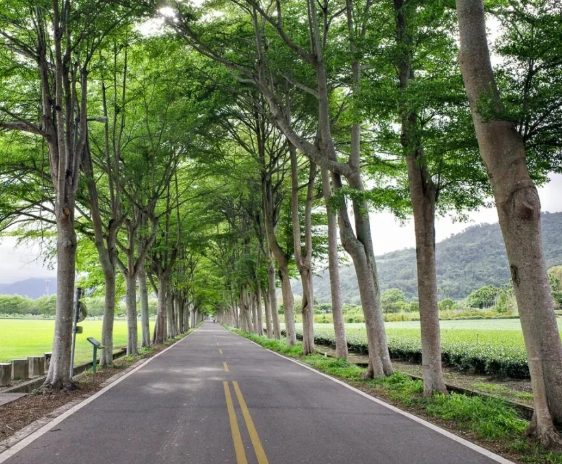 開車遊花東景點
