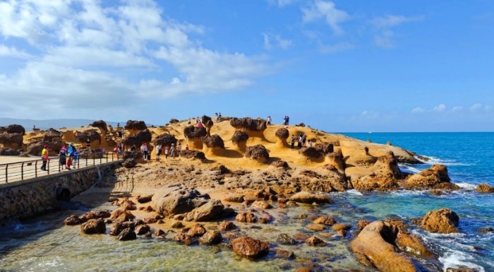 北海岸一日遊交通