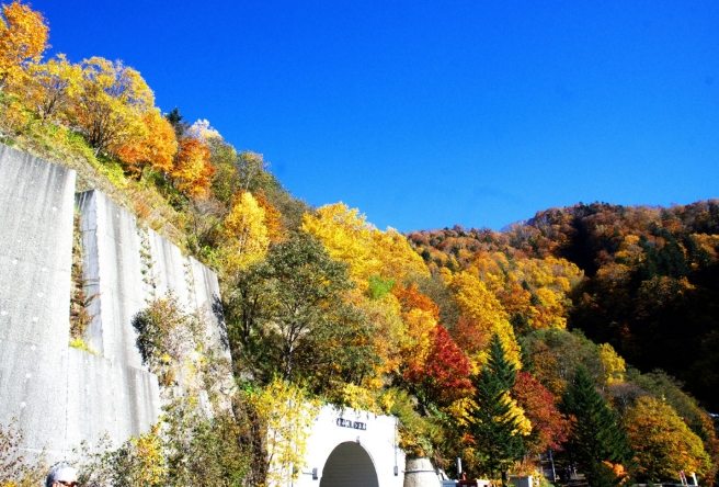 定山溪紅葉季節