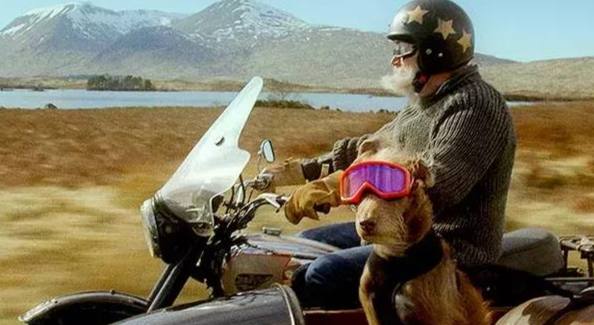 紐西蘭機車駕照