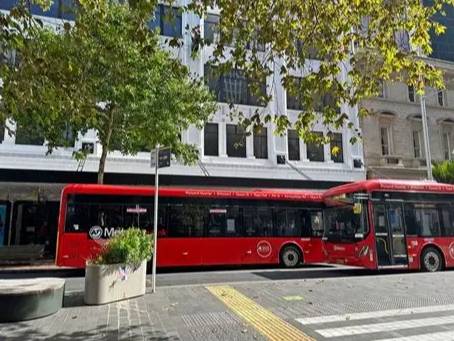 纽西兰自由行攻略