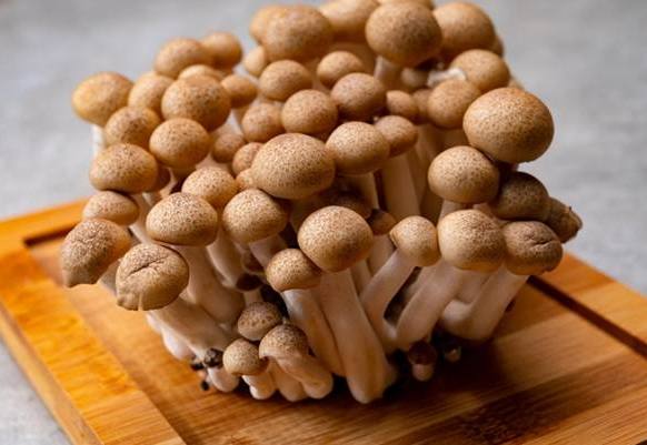 鴻禧菇保存技巧