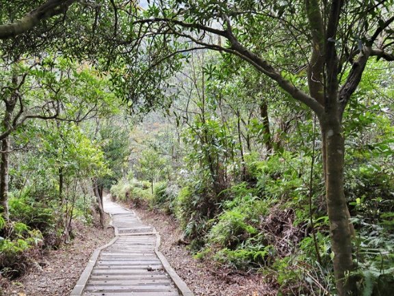 台北步道推薦
