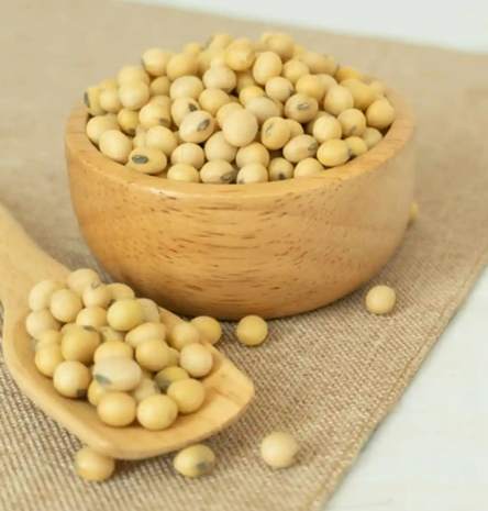 九陽豆漿機使用技巧