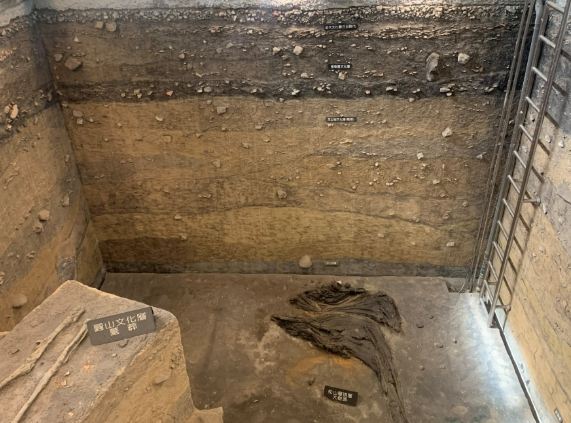 台中恐龍主題展