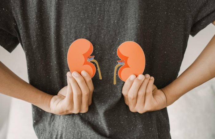 腎臟發炎飲食禁忌