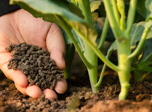 有機肥料使用指南