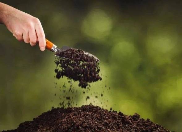 有機肥料使用指南