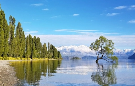 澳洲紐西蘭旅遊比較
