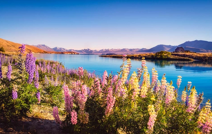 紐西蘭回台灣搬家