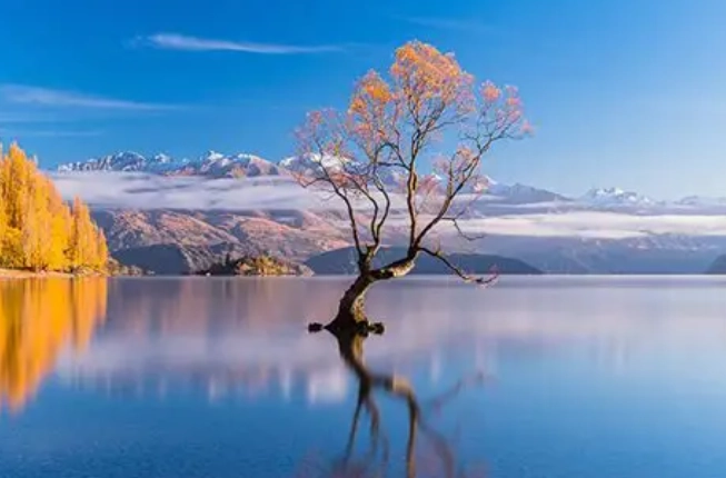 澳洲紐西蘭移民