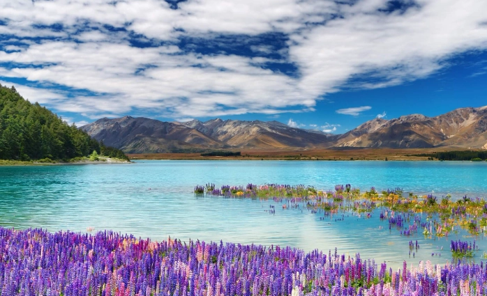 澳洲好玩還是紐西蘭好玩