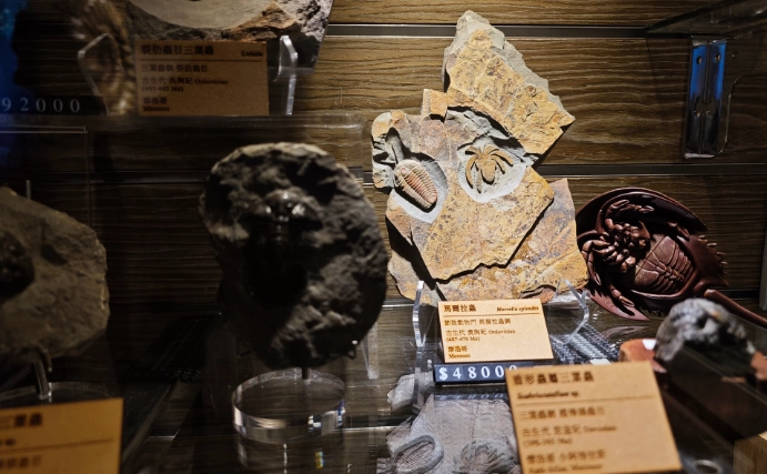 西門町室內活動