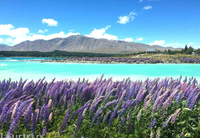 澳洲紐西蘭自由行推薦