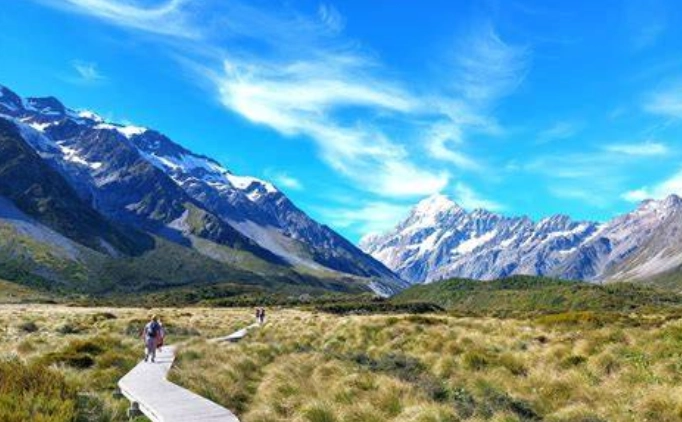 紐西蘭返台工作