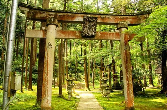 小松機場周邊觀光