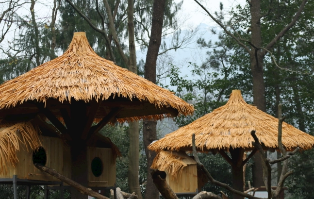 北海道茅草屋旅館