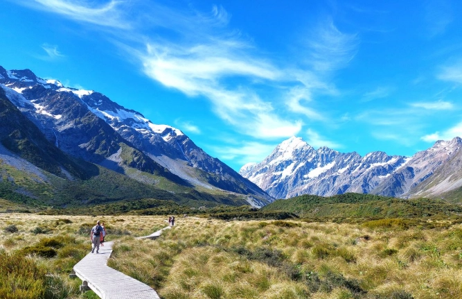 紐西蘭自由行攻略