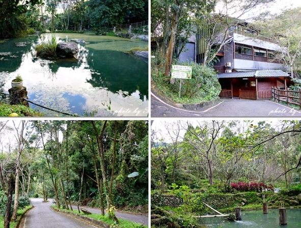 峇里森林溫泉價格