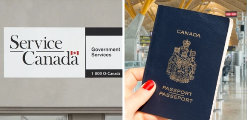 紐西蘭簽證申請