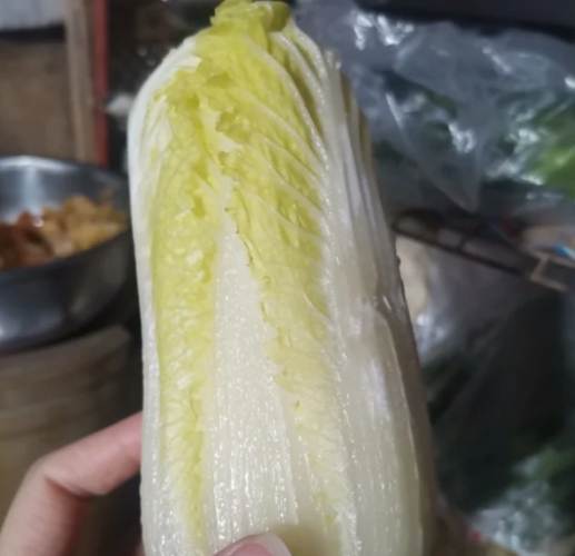 冷凍娃娃菜方法