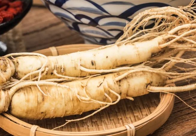 人蔘最佳食用時間