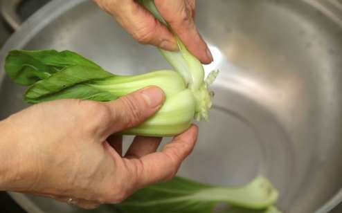 青江菜保存技巧