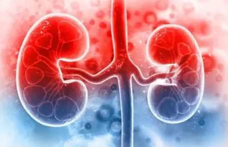 腎臟炎不能吃食物