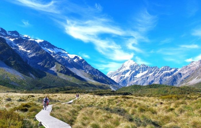 紐西蘭北島自由行