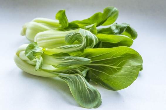 青江菜食用禁忌