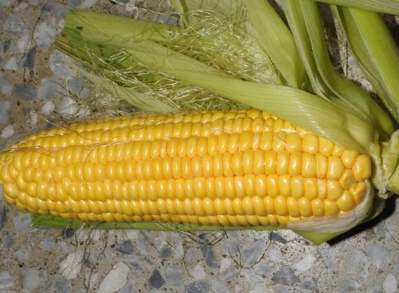 高鉀食物玉米