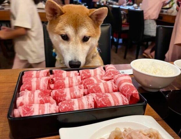 中山站寵物友善餐廳