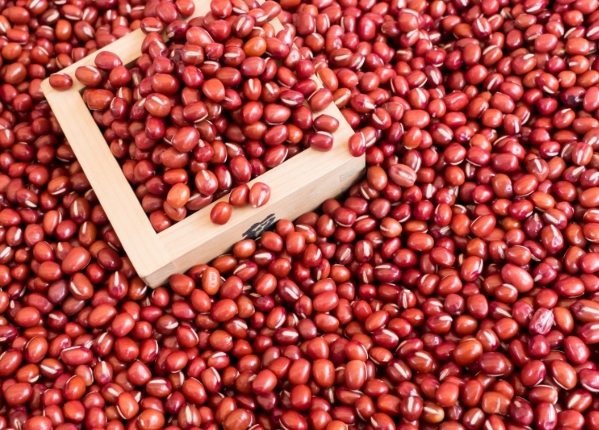紅豆禁忌