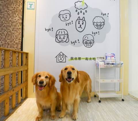 台北寵物友善商場