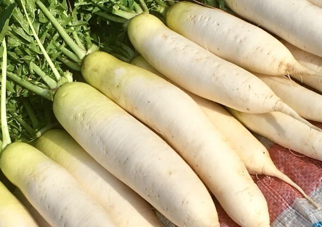 白蘿蔔纖維好處