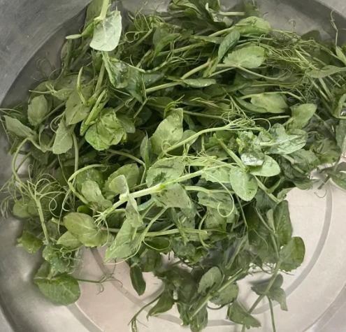 豌豆苗衛生處理