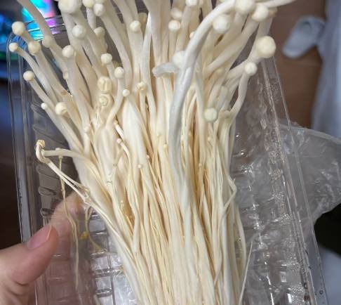 冷凍金針菇技巧