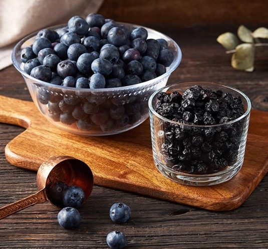 藍莓乾對狗的好處