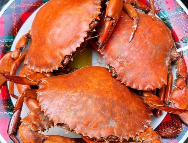 木耳不能和什麼一起吃