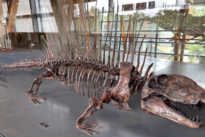 文化資產園區恐龍展覽