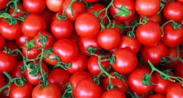 小番茄运动补充