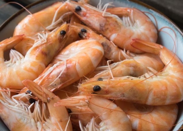 蝦子食用建議