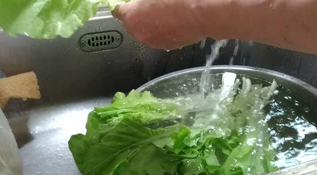 小白菜清洗方法