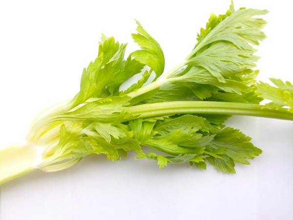芹菜好處