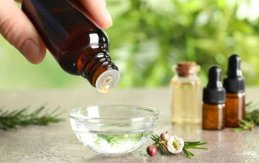 茶樹精油使用比例