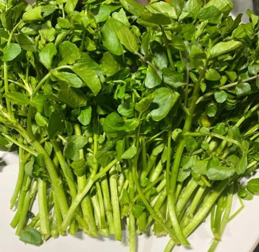 西洋菜健康益處