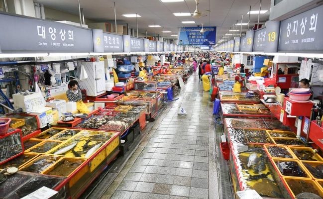 韓國釜山一日遊